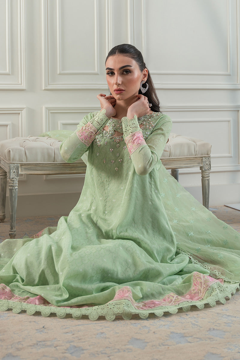 Mint Green Embroidered Cotton Net Kalidaar (2-Piece) - Image 7