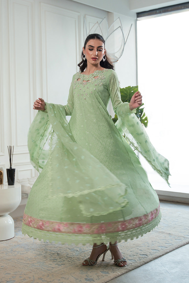 Pastel Green Embroidered Cotton Net Kalidaar (2-Piece) - Image 3