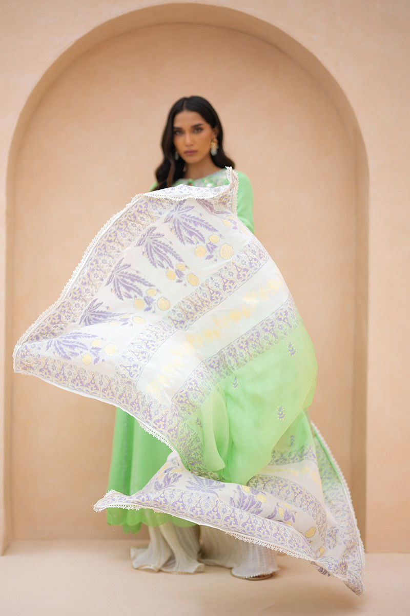 Pistachio Green Embroidered Crepe Silk Kalidar (3-Piece) - Image 6