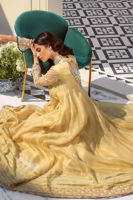 Pakistani Kiwi Green Zardozi Organza Kalidar (3-Piece) - Image 3