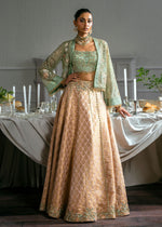 Mint Green Embroidered Net Jacket with Jamawar Lehenga (4-Piece) - Image 5