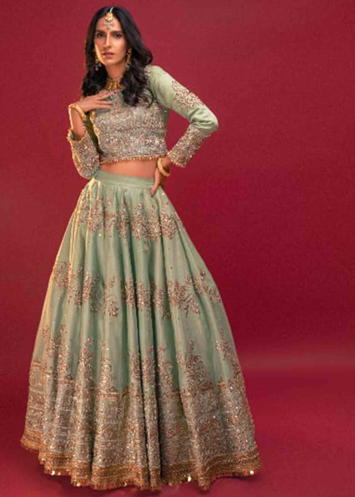 Pakistani Mint Green Copper Zari Net Organza Choli Lehnga (2-Piece) - Image 1