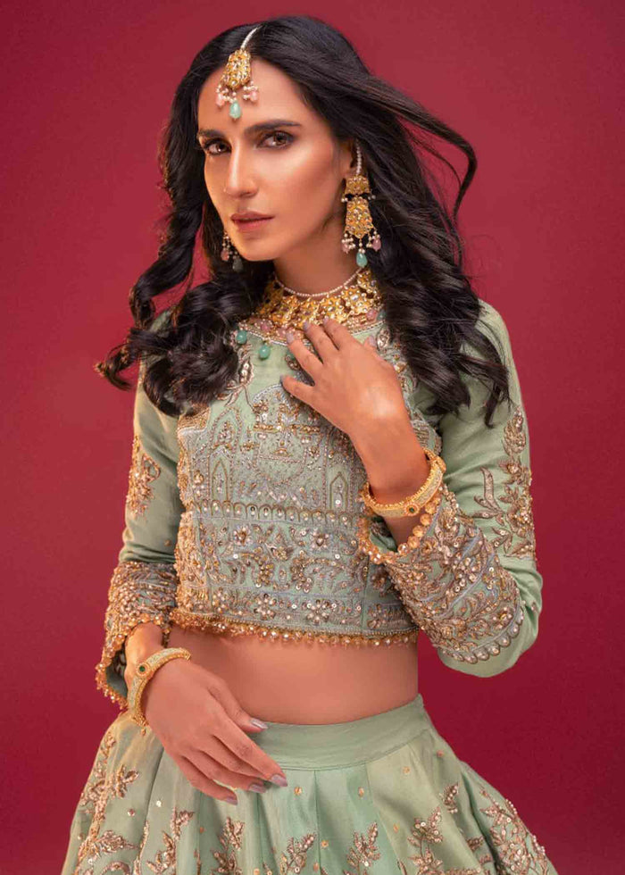 Pakistani Mint Green Copper Zari Net Organza Choli Lehnga (2-Piece) - Image 2