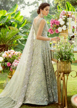 Pakistani Grape Green Embroidered Net Peshwas Dress (3-Piece) - Image 4