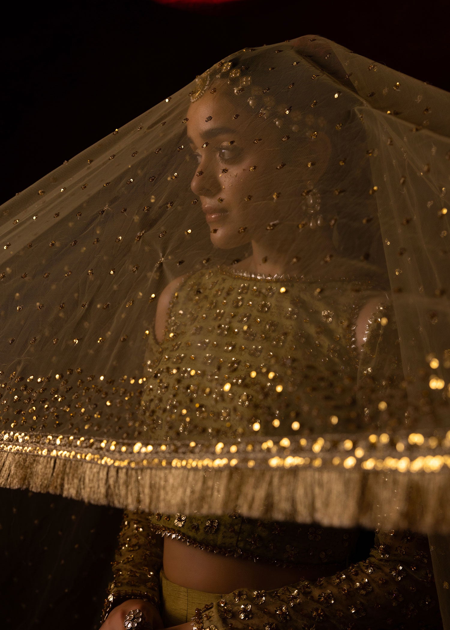 Light Green Embellished Organza & Silk Lehenga Choli (3-Piece) - Image 6