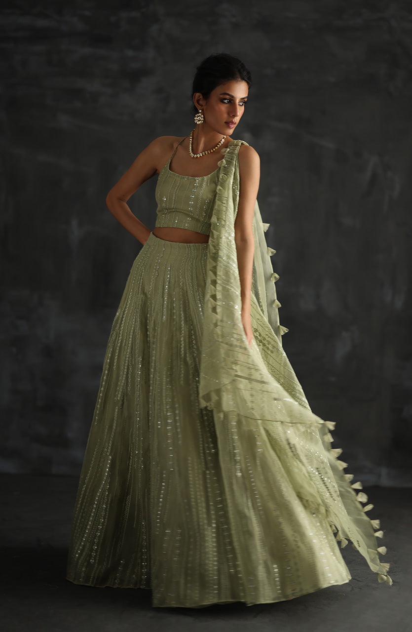 Mint Green Embroidered Organza Lehenga Choli (3-Piece) - Image 3