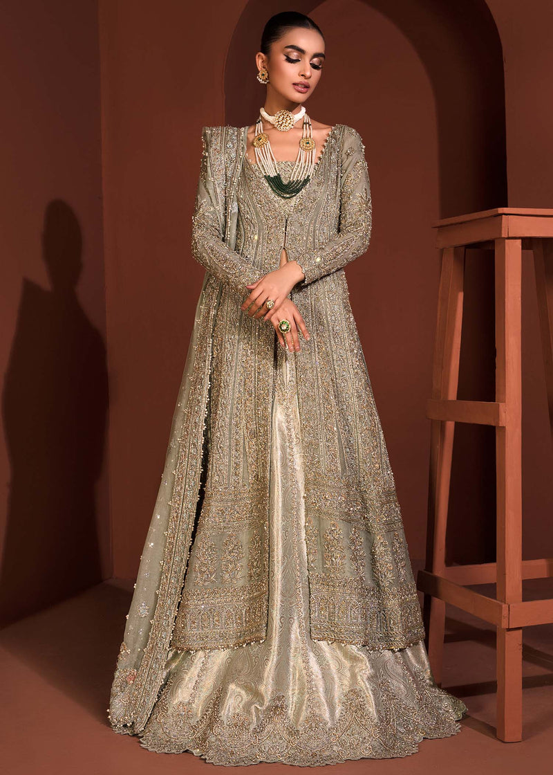 Indian Mint Green Embroidered Organza Gown with Jamawar Lehenga (3-Piece) - Image 1