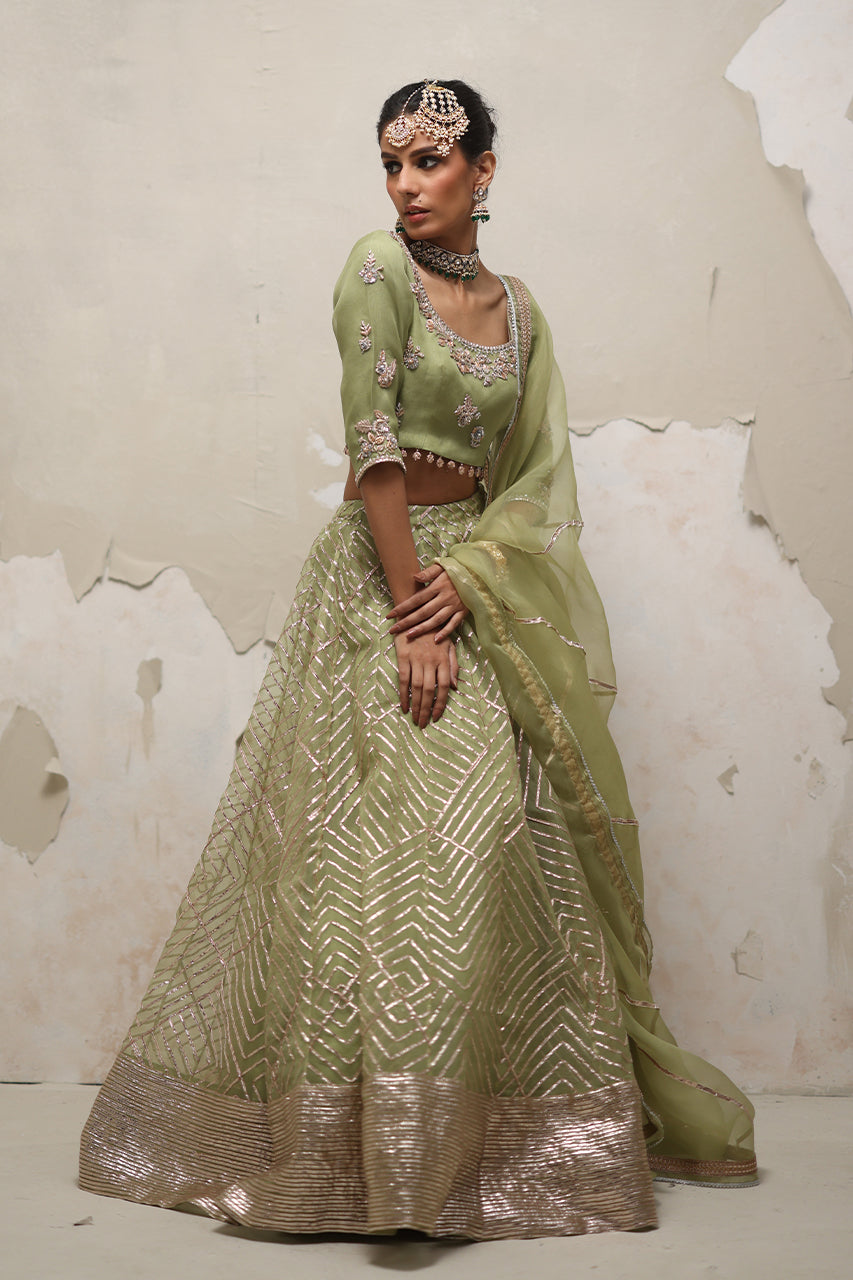 Pakistani Pistachio Green Zardozi Organza Lehenga Choli (3-Piece) - Image 1