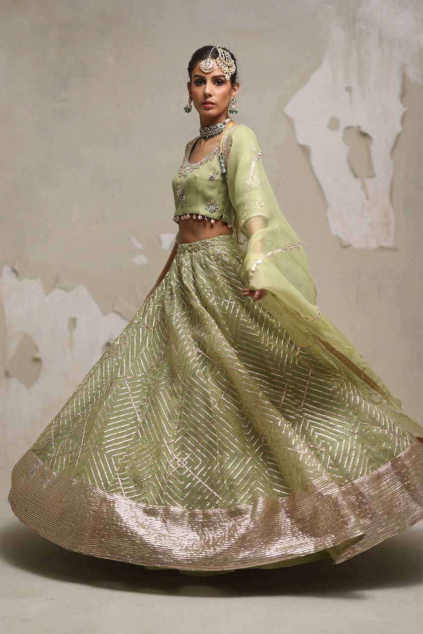 Pakistani Pistachio Green Zardozi Organza Lehenga Choli (3-Piece) - Image 3