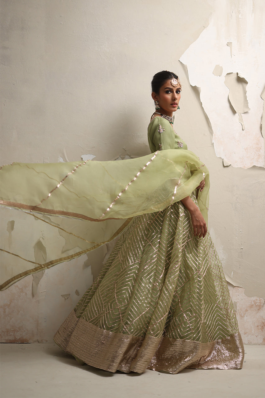Pakistani Pistachio Green Zardozi Organza Lehenga Choli (3-Piece) - Image 6