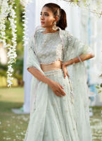 Pakistani Mint Green Hand-Embellished Net Silk Lehenga Choli (3-Piece) - Image 5