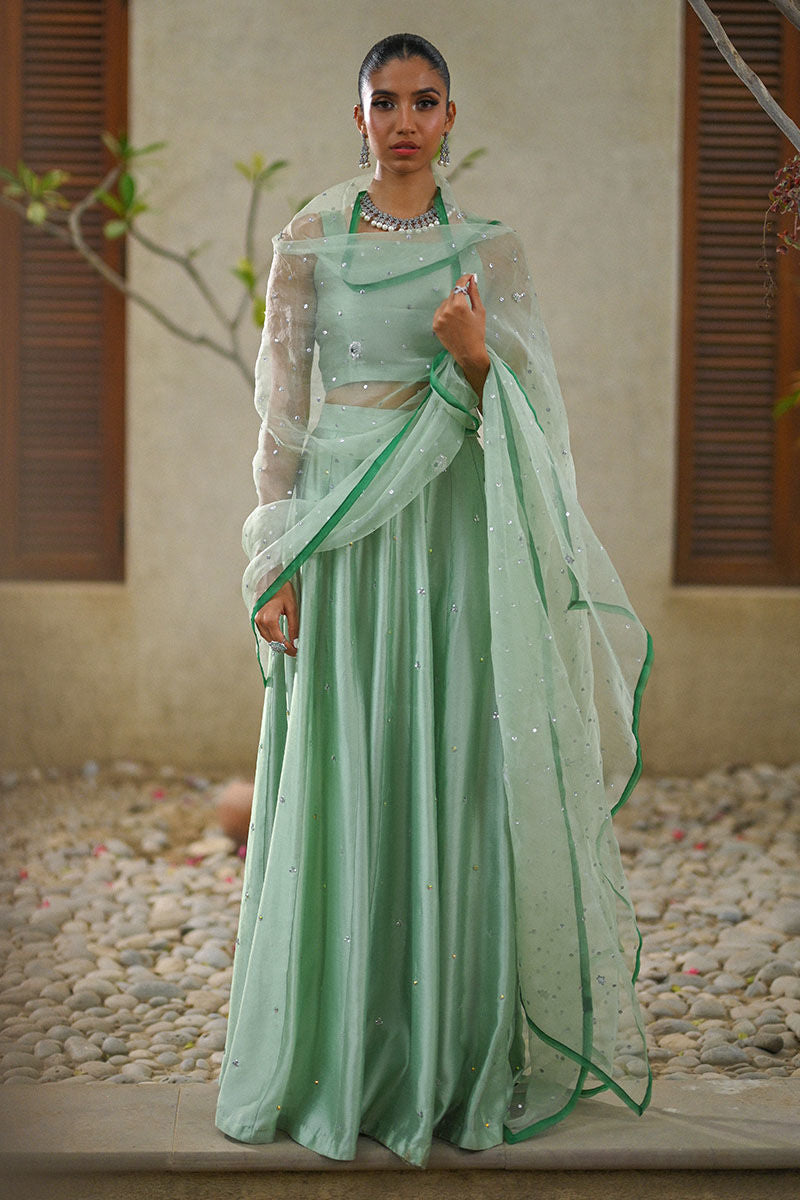 Pakistani Mint Green Sequin Silk & Organza Lehenga Choli (3-Piece) - Image 5
