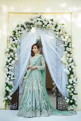 Pakistani Ombre Green Embellished Net Maxi (2-Piece) - Image 4
