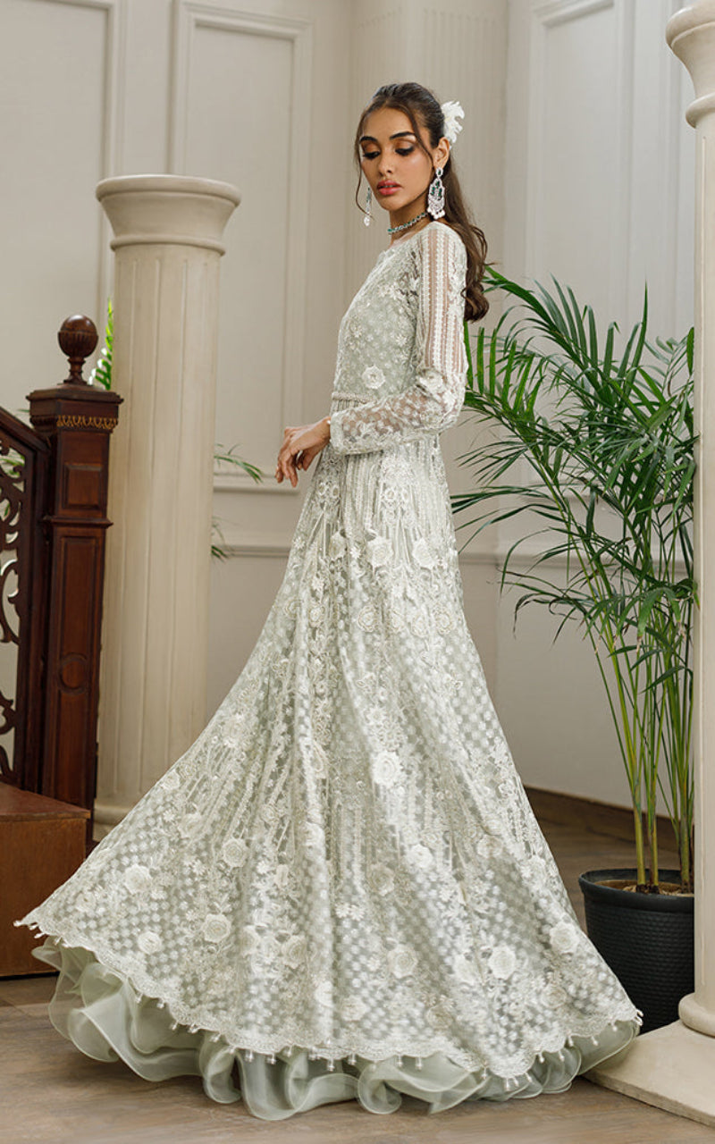 Pakistani Green Embroidered Net Maxi Dress (1-Pc) - Image 3