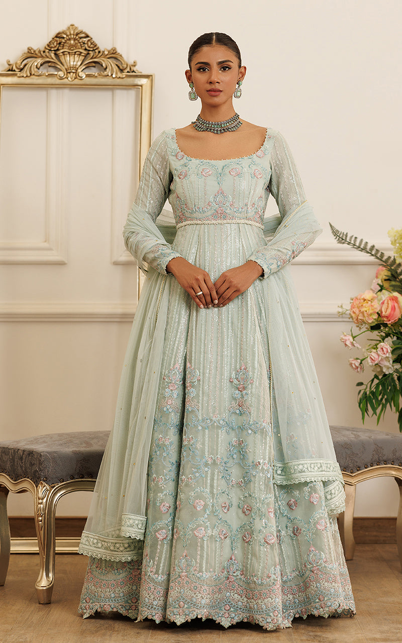 Pakistani Mint Green Embroidered Organza Maxi Dress (2-Piece) - Image 1