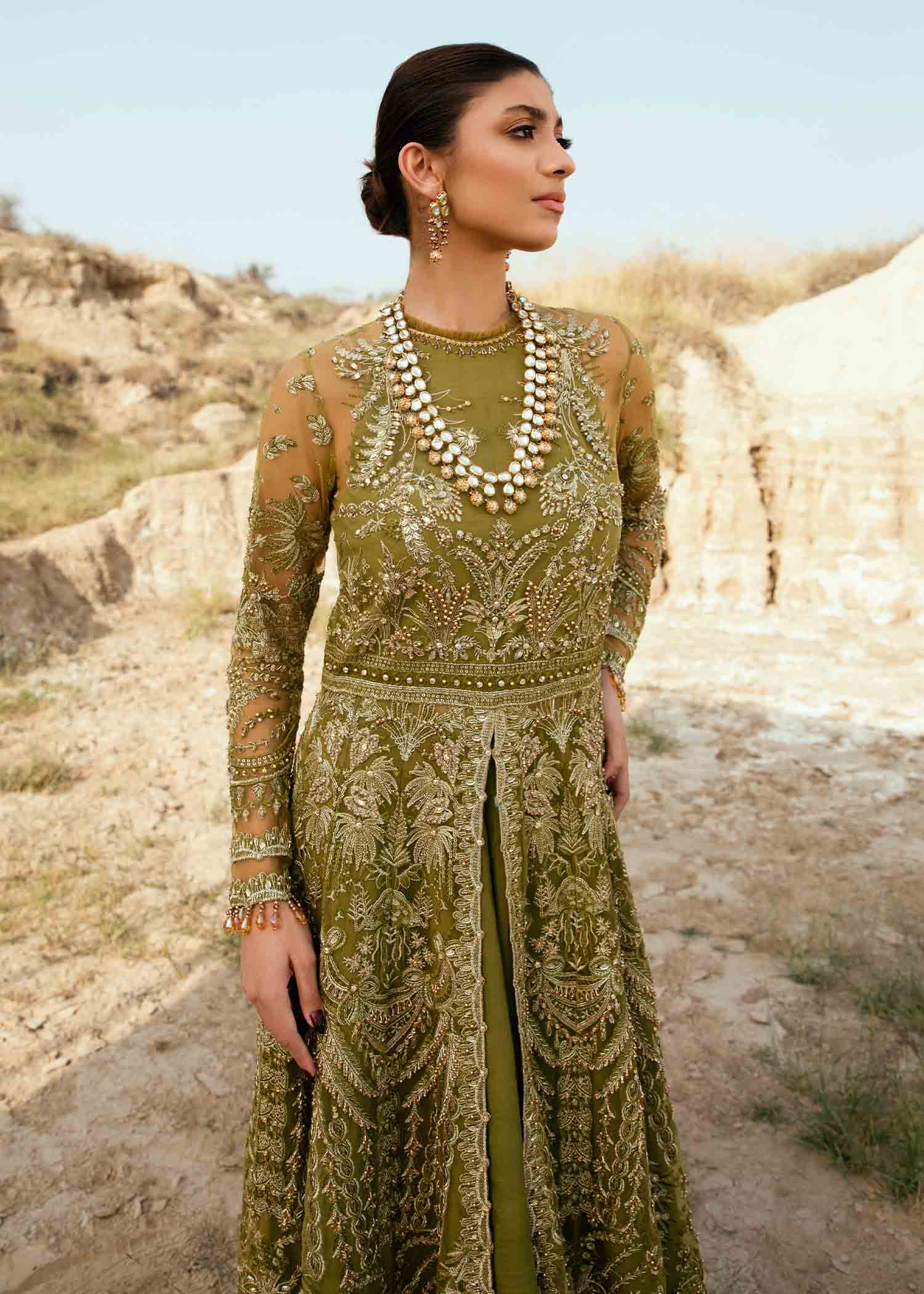 Olive Green Embroidered Net Pishwas Dress (2-Piece) - Image 1