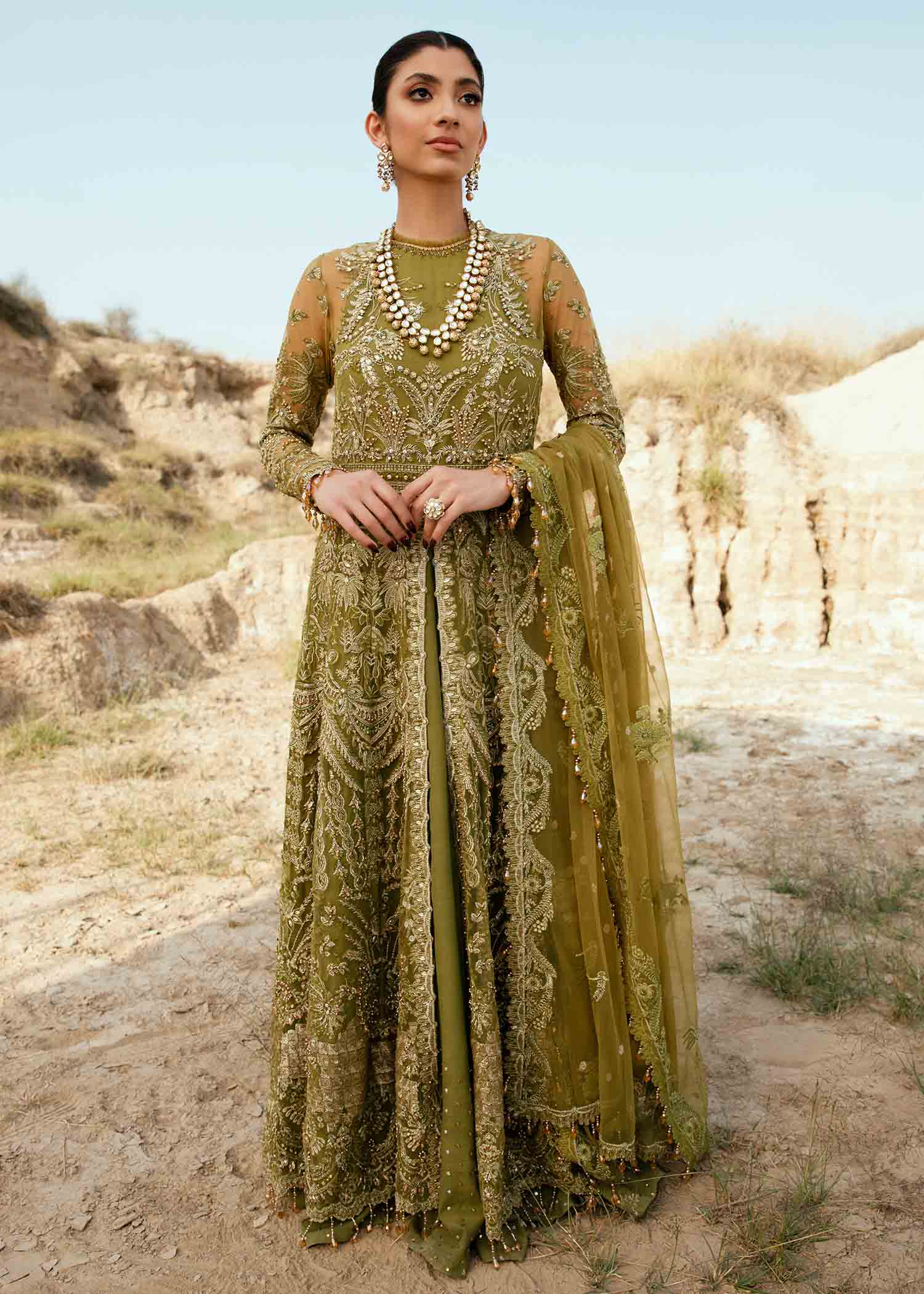 Olive Green Embroidered Net Pishwas Dress (2-Piece) - Image 5