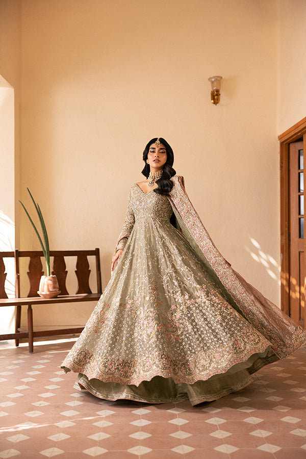 Sage Green Embroidered Net Pishwas Dress (2-Piece) - Image 1