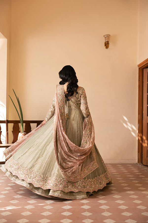 Sage Green Embroidered Net Pishwas Dress (2-Piece) - Image 8