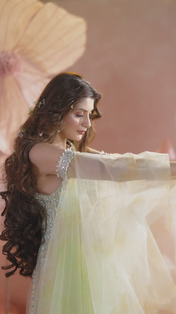 Apple Green Embellished Net Pishwas Dress (3-Piece) - Image 6