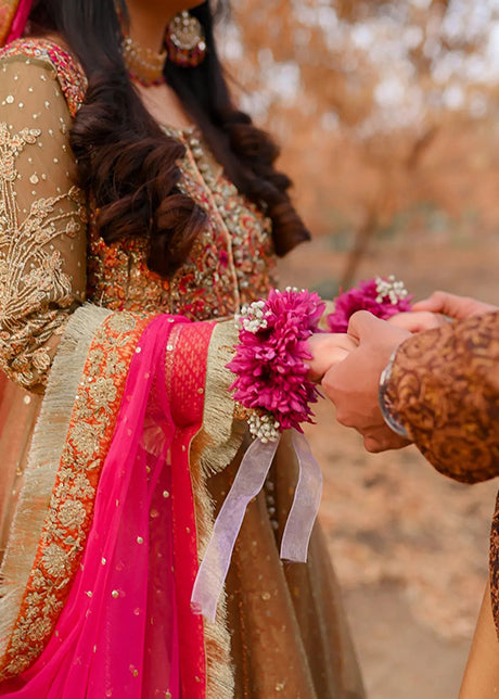 Pakistani Olive Pink Embellished Organza Bridal Pishwas (2-Piece) - Image 5