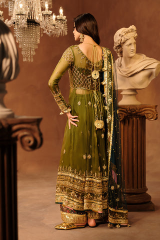 Olive Green Embroidered Organza Pishwas Dress (3-Piece) - Image 4