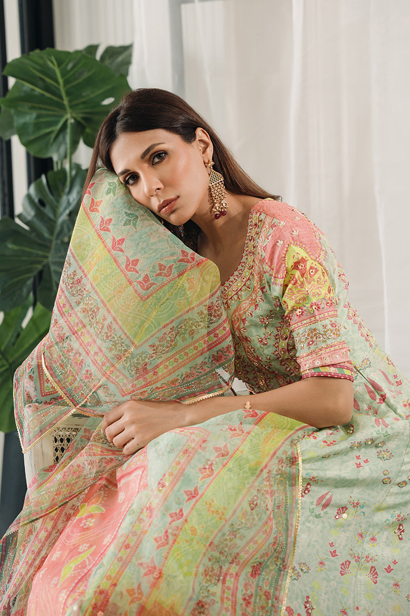 Pakistani Mint Green Embroidered Pure Raw Silk Pishwas (2-Piece) - Image 4