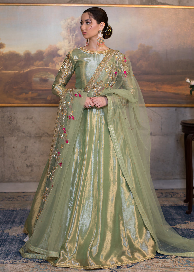 Pakistani Grape Green Embroidered Tissue Pishwas Dress (2-Piece) - Image 1