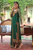 Pakistani Deep Green Handworked Chiffon Salwar Kameez (3-Piece) - Image 3