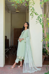 Mint Green Sequinned Georgette Chiffon Salwar Kameez (3-Piece) - Image 4