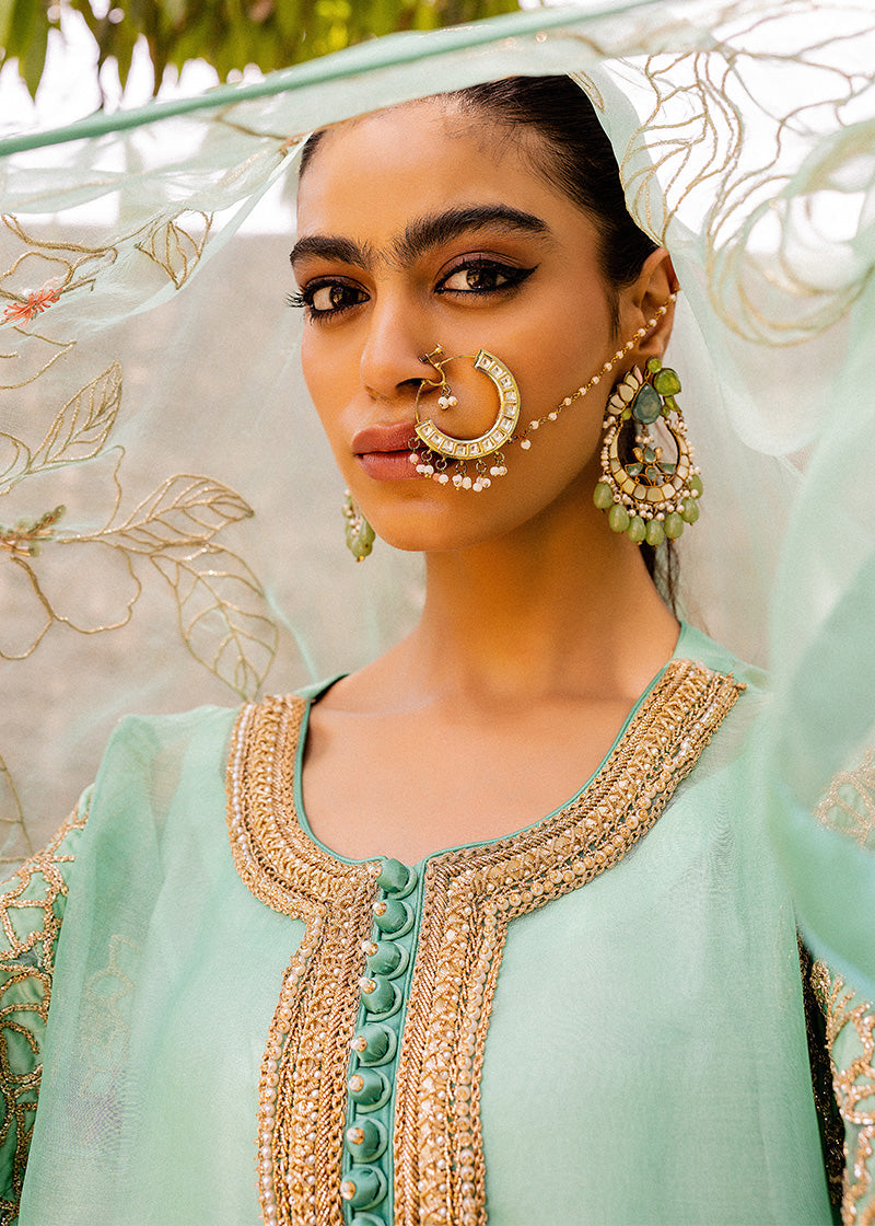 Mint Hand-Embellished Organza Shalwar Kameez (3-Piece) - Image 1