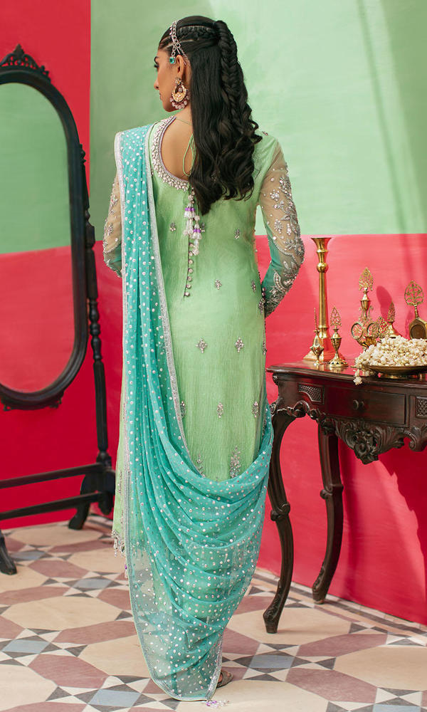 Pakistani Apple Green & Turquoise Embroidered Net Salwar Kameez (3-Piece) - Image 4