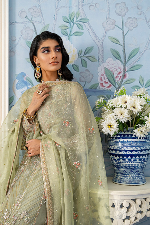 Pakistani Mint Embroidered Net Salwar Kameez (3-Piece) - Image 5