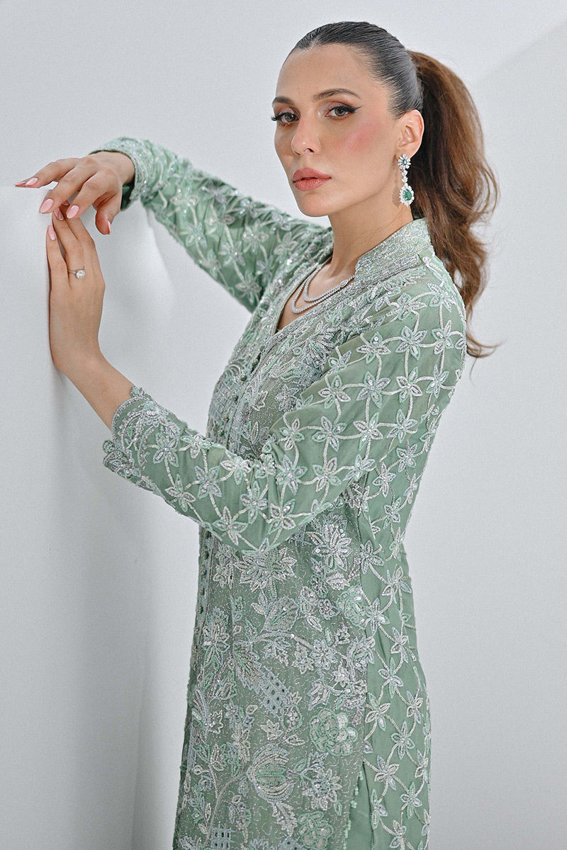 Pakistani Sage Green Embellished Net Organza Salwar Kameez (2-Piece) - Image 2