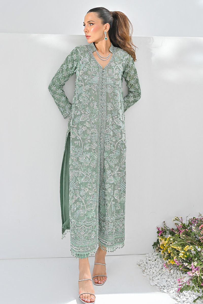 Pakistani Sage Green Embellished Net Organza Salwar Kameez (2-Piece) - Image 4