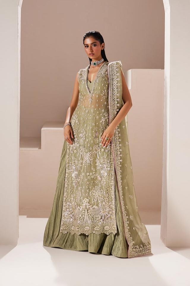 Sage Green Embellished Organza Salwar Kameez (3-Piece) - Image 1