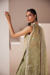 Sage Green Embellished Organza Salwar Kameez (3-Piece) - Image 4