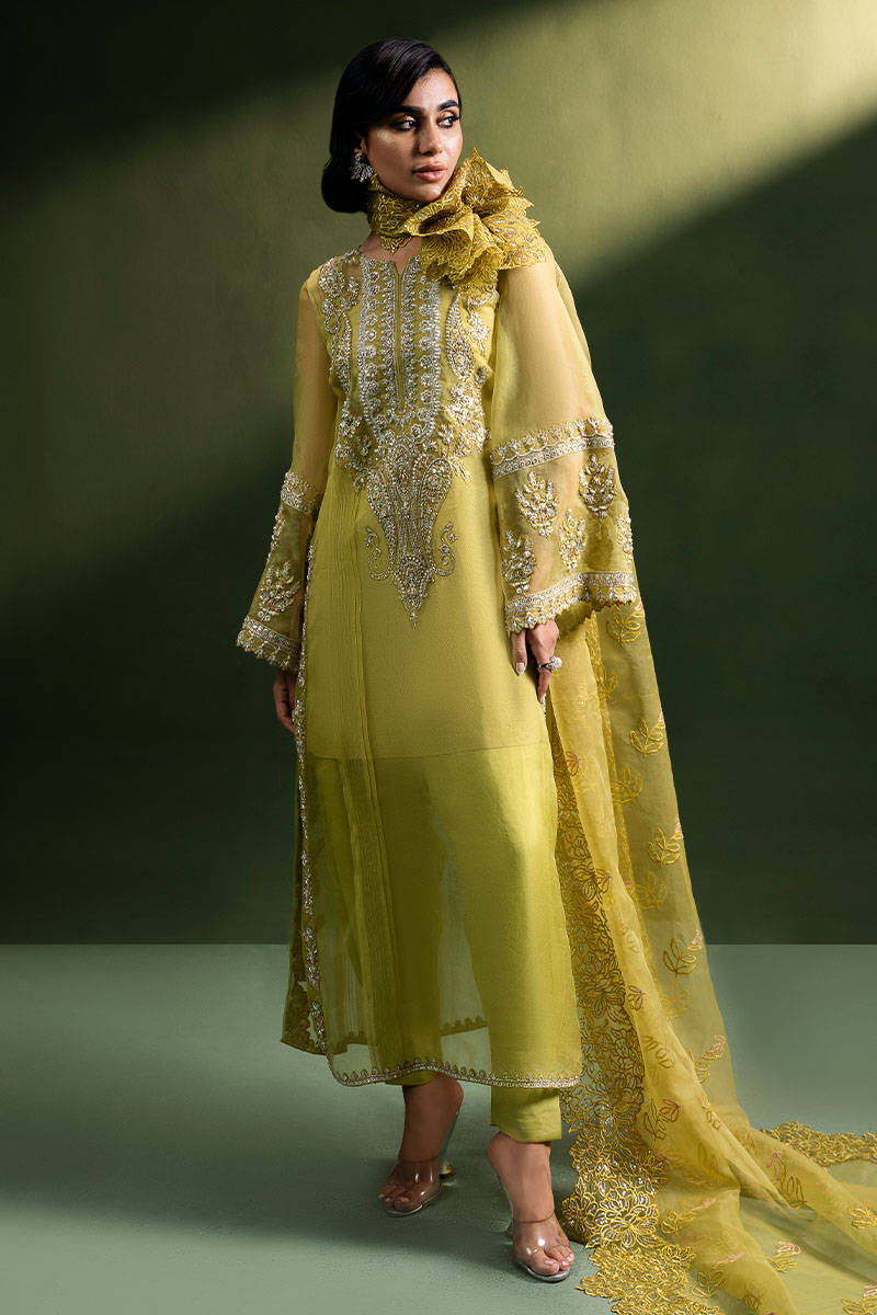 Olive Green Embroidered Organza Salwar Kameez (3-Piece) - Image 1