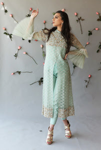 Pakistani Mint Green Hand Embroidered Organza & Silk Salwar Kameez (2-Piece) - Image 1