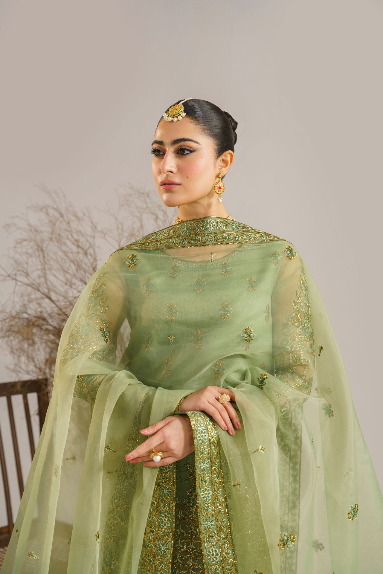 Sage Green Embroidered Organza Salwar Kameez (3-Piece) - Image 6
