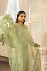 Mint Green Embroidered Net & Organza Suit (3-Piece) - Image 4