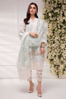 Pakistani Pale Mint Embroidered Silk Net Salwar Kameez (3-Piece) - Image 5