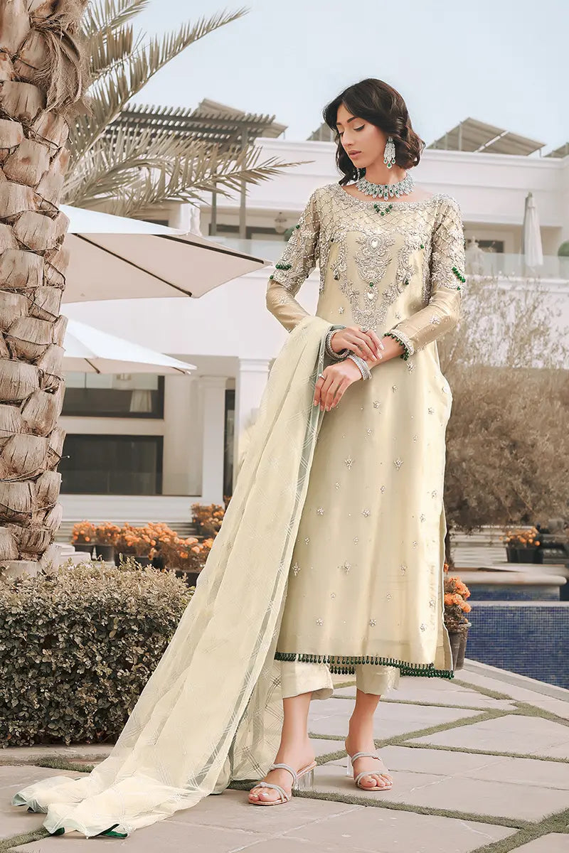 Pakistani Pastel Green Zardozi Tissue Salwar Kameez (3-Piece) - Image 1