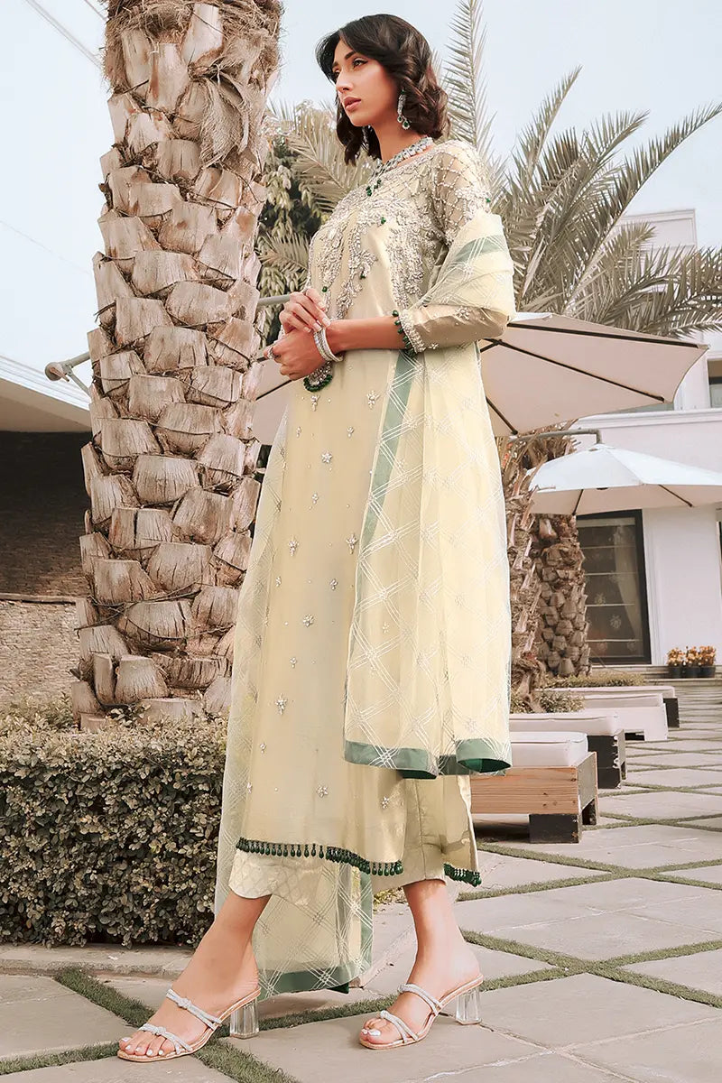 Pakistani Pastel Green Zardozi Tissue Salwar Kameez (3-Piece) - Image 4