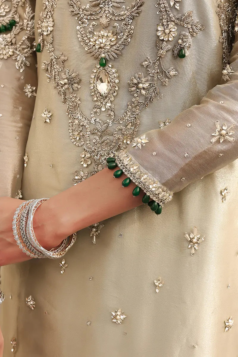 Pakistani Pastel Green Zardozi Tissue Salwar Kameez (3-Piece) - Image 5