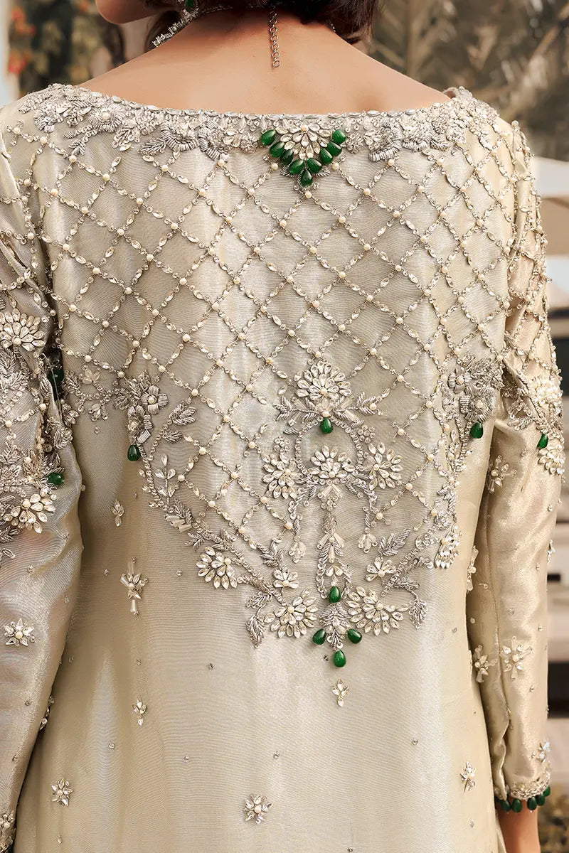 Pakistani Pastel Green Zardozi Tissue Salwar Kameez (3-Piece) - Image 8