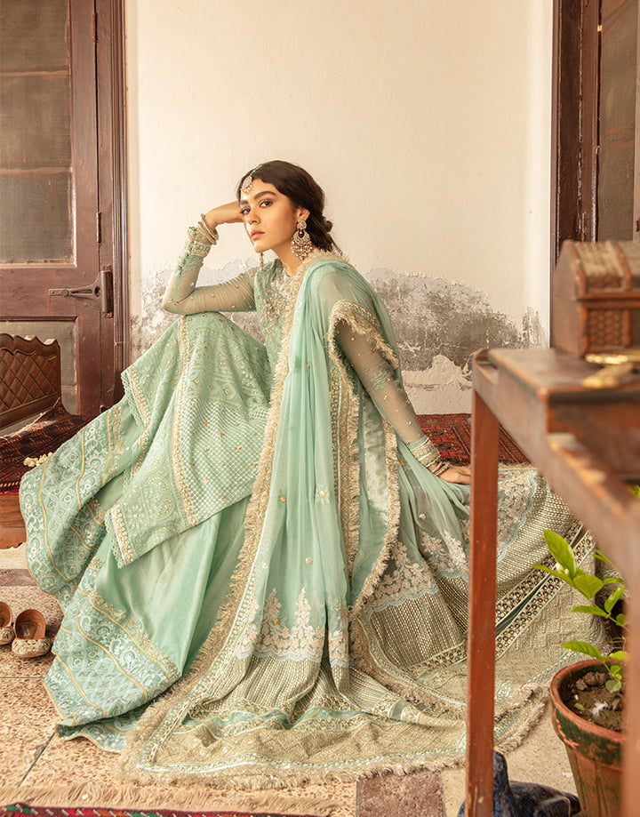 Pakistani Mint Chikankari Chiffon & Silk Sharara (3-Piece) - Image 4