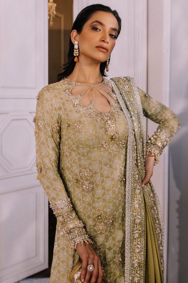 Sage Green Embellished Chiffon Silk Sharara (3-Piece) - Image 2