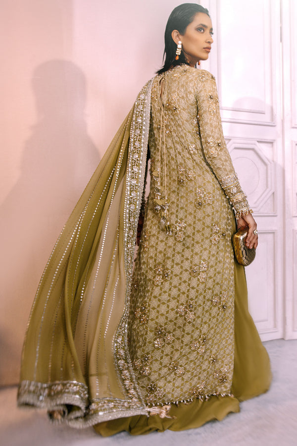 Sage Green Embellished Chiffon Silk Sharara (3-Piece) - Image 4