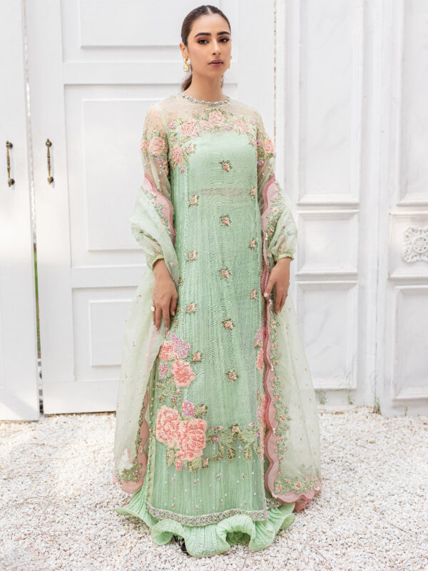 Mint & Rose Embroidered Cotton Net Organza Sharara (3-Piece) - Image 1